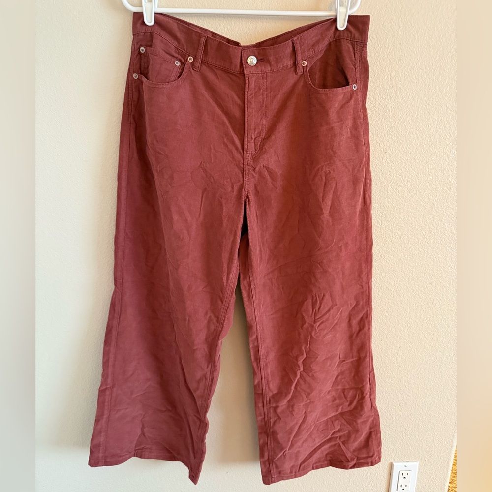 American Eagle Outfitters Brick Red Wide Leg Jeans